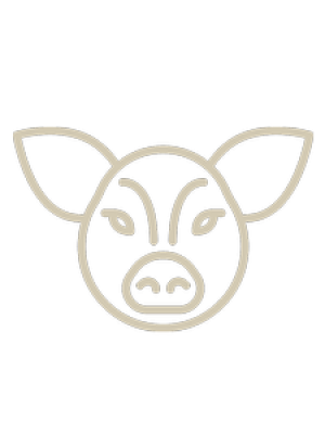 pig-icon